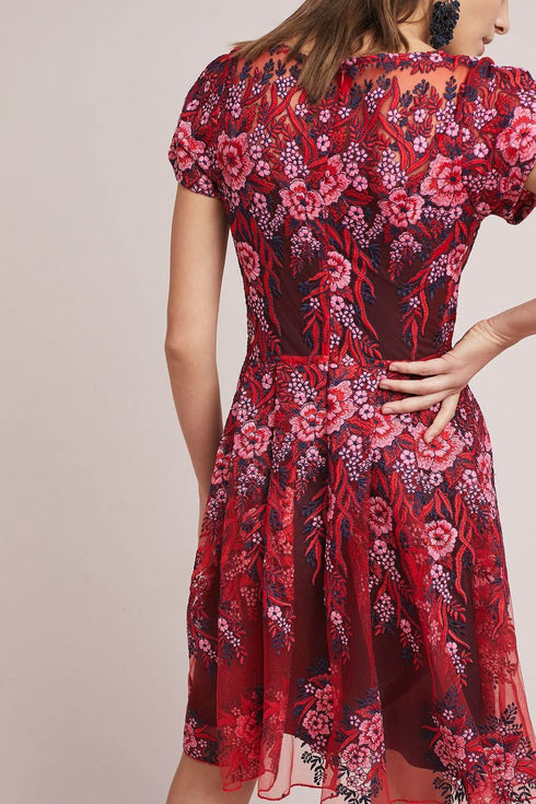 Rosa Lace Dress